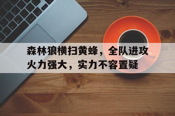 森林狼横扫黄蜂，全队进攻火力强大，实力不容置疑的简单介绍